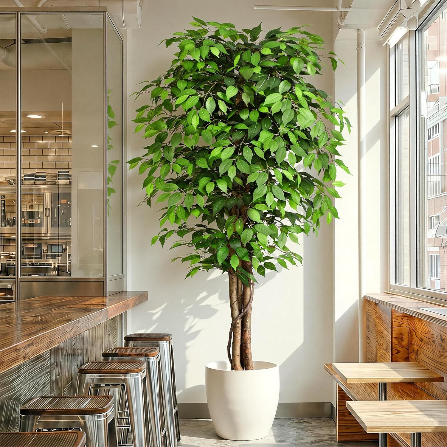 Cây sung nhân tạo trông như câ - đánh giá và giá Ficus Lyrata Tree