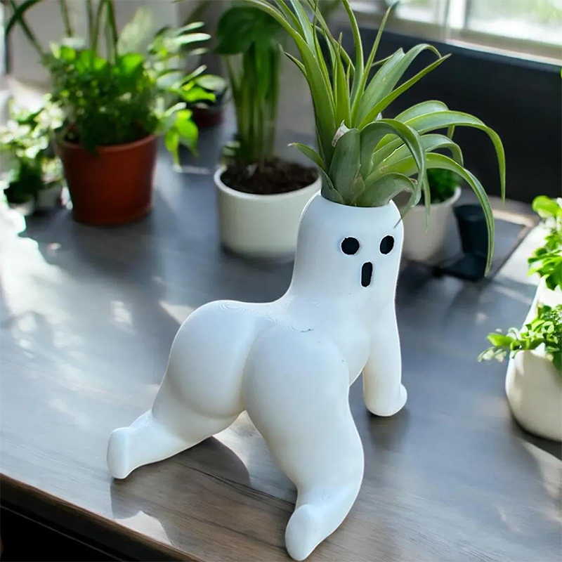 Funny Big Booty Ghost Planter  - đánh giá và giá Echeveria Succulent